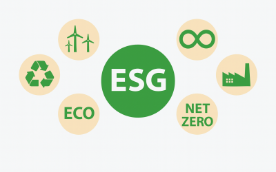 Ökomarketing: 80 Prozent der Öko-Logos droht das Aus